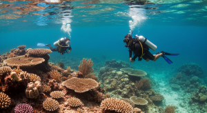Banda Neira Diving: Where History and Hammerheads Collide